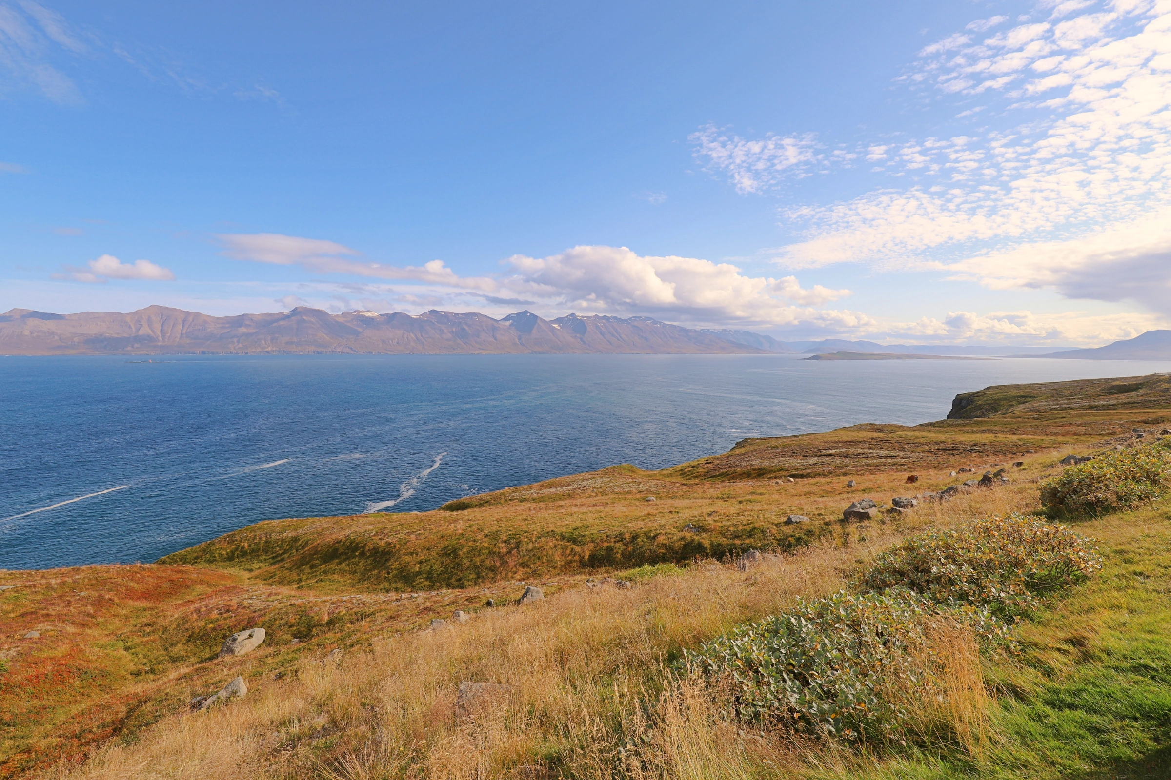 Siglufjørdur_-_høfn[1].webp